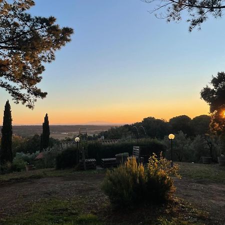 Casa Belvedere -Tranquillita Tra Bosco E Ulivi- Riparbella Buitenkant foto