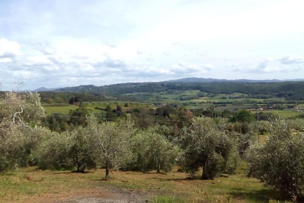 Casa Belvedere -Tranquillita Tra Bosco E Ulivi- Riparbella Buitenkant foto