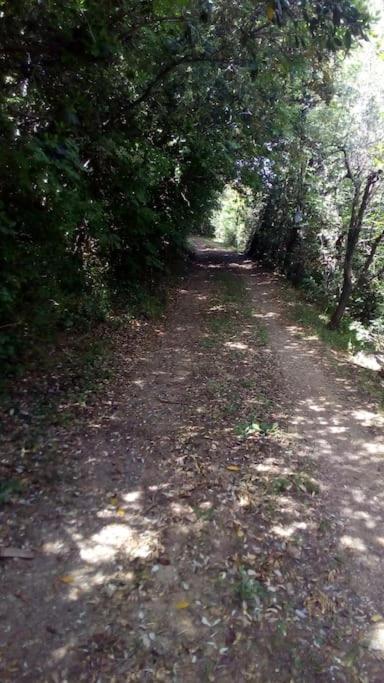 Casa Belvedere -Tranquillita Tra Bosco E Ulivi- Riparbella Buitenkant foto
