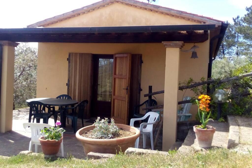 Casa Belvedere -Tranquillita Tra Bosco E Ulivi- Riparbella Buitenkant foto