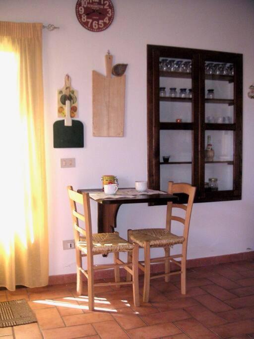 Casa Belvedere -Tranquillita Tra Bosco E Ulivi- Riparbella Buitenkant foto