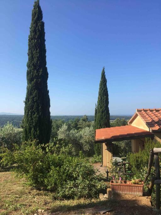 Casa Belvedere -Tranquillita Tra Bosco E Ulivi- Riparbella Buitenkant foto