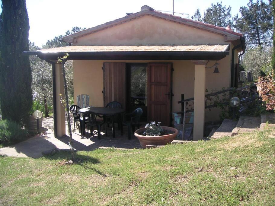 Casa Belvedere -Tranquillita Tra Bosco E Ulivi- Riparbella Buitenkant foto