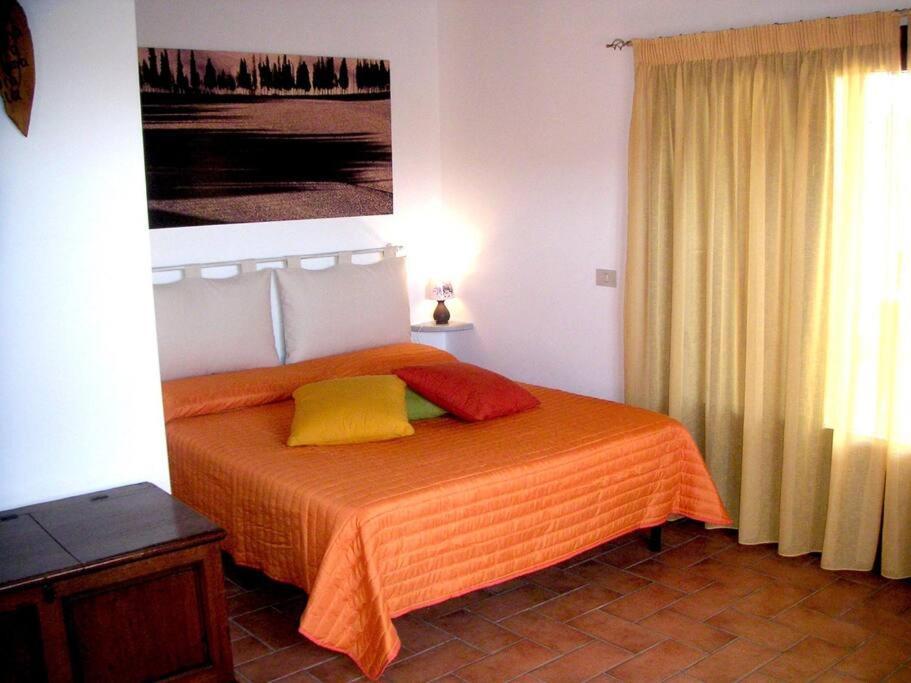 Casa Belvedere -Tranquillita Tra Bosco E Ulivi- Riparbella Buitenkant foto