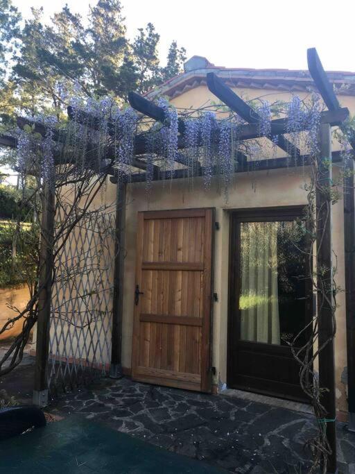 Casa Belvedere -Tranquillita Tra Bosco E Ulivi- Riparbella Buitenkant foto