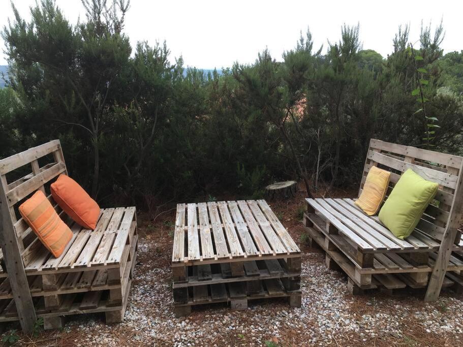 Casa Belvedere -Tranquillita Tra Bosco E Ulivi- Riparbella Buitenkant foto