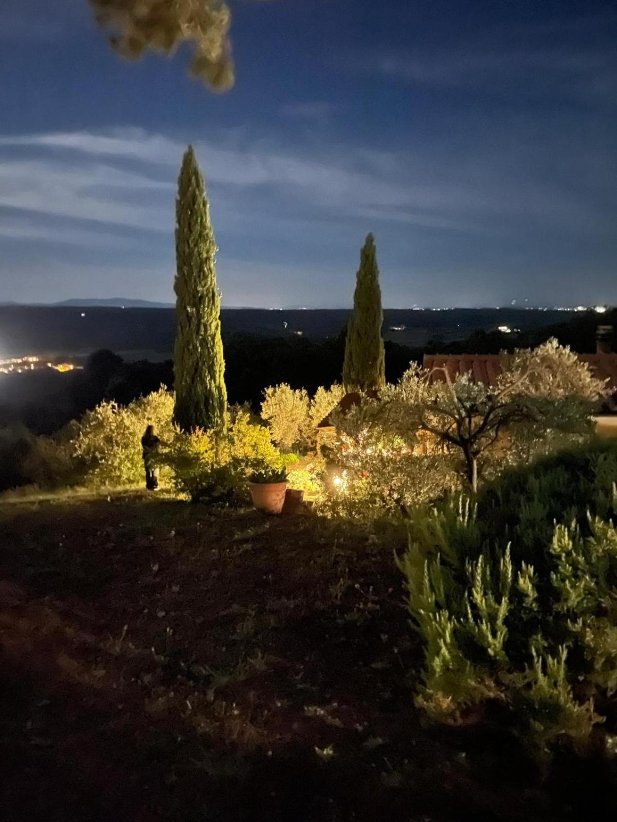 Casa Belvedere -Tranquillita Tra Bosco E Ulivi- Riparbella Buitenkant foto